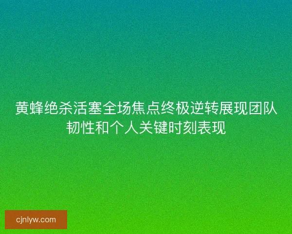 黄蜂绝杀活塞全场焦点终极逆转展现团队韧性和个人关键时刻表现