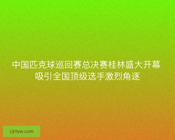 中国匹克球巡回赛总决赛桂林盛大开幕 吸引全国顶级选手激烈角逐 中国匹克球巡回赛总决赛桂林盛大开幕 吸引全国顶级选手激烈角逐