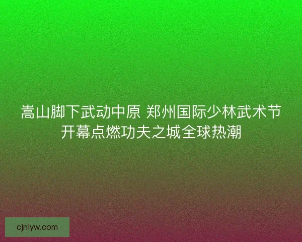 嵩山脚下武动中原 郑州国际少林武术节开幕点燃功夫之城全球热潮